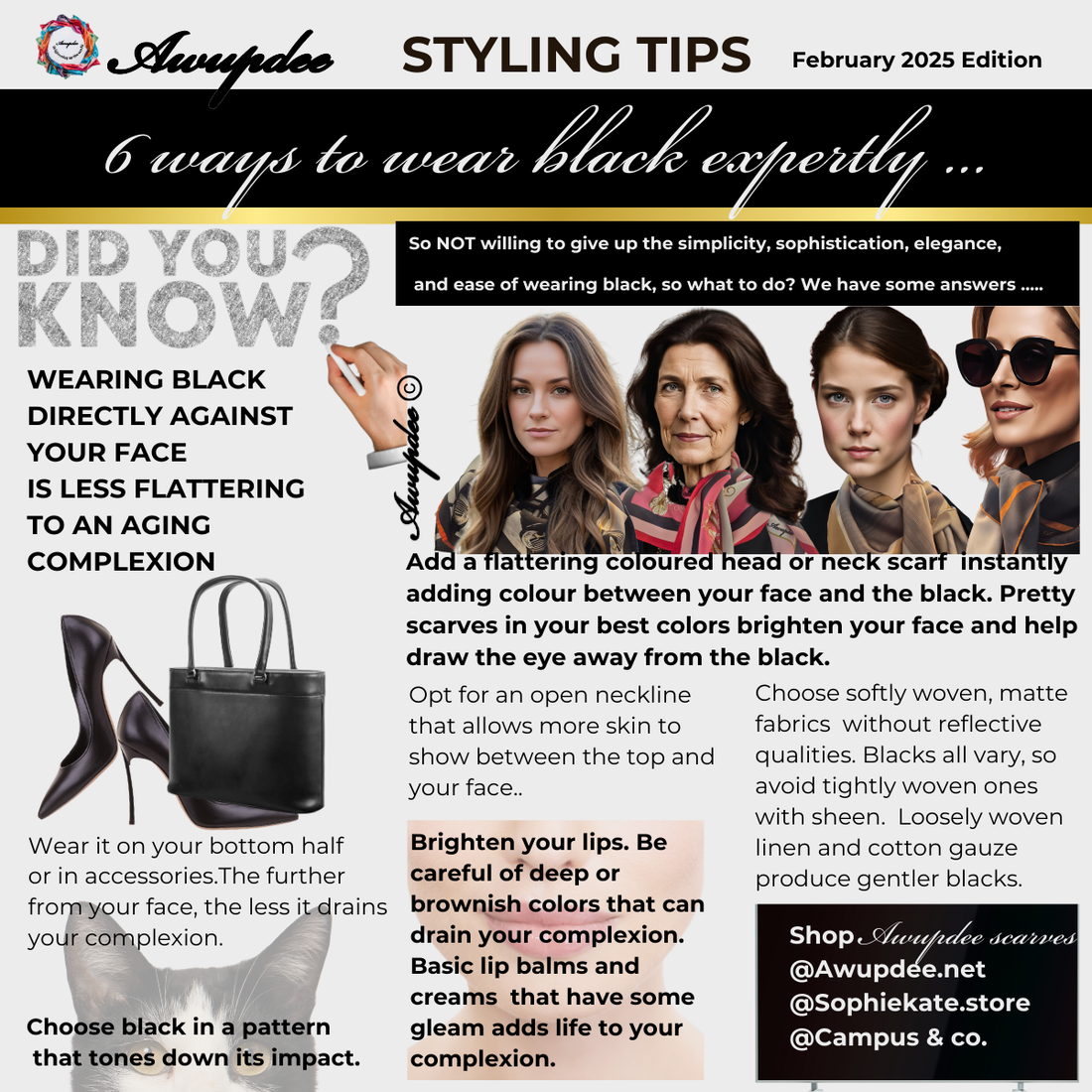 January 2025 Newsletter