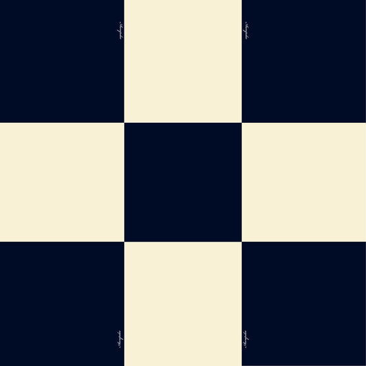 A2041  AWUPDEE WHOLESALE "Checkmate" Black and Cream Silk Scarf