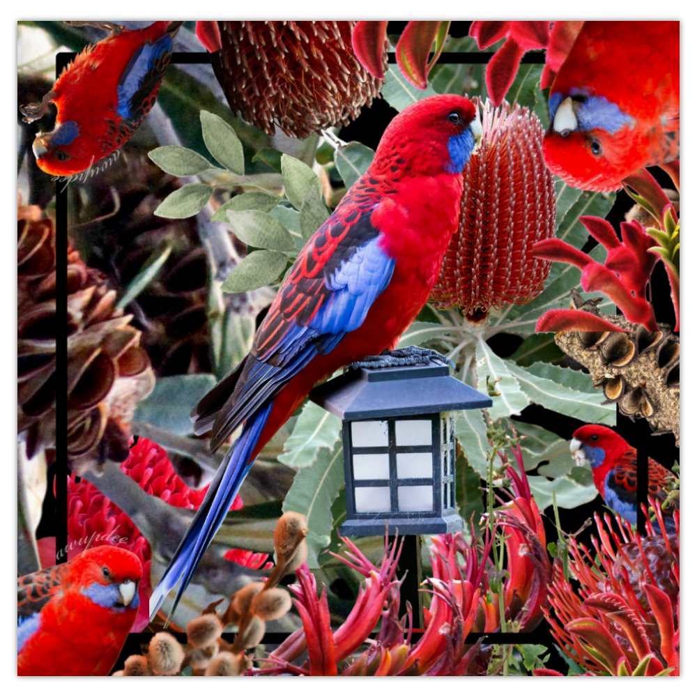 0248 Gift Card 14cm x 14cm - "Rosella Botanical"